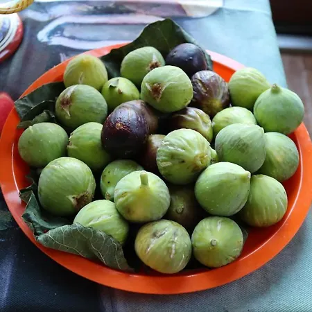 فندق مبيت وإفطار Clara 4*