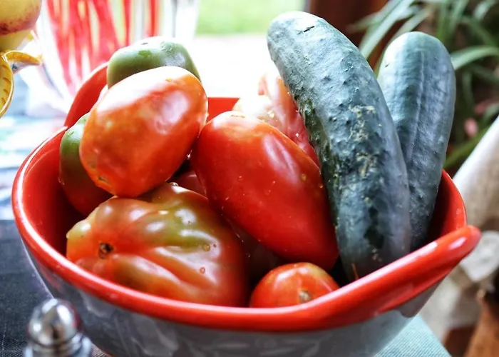 住宿加早餐酒店 Clara